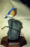 Blue Bird